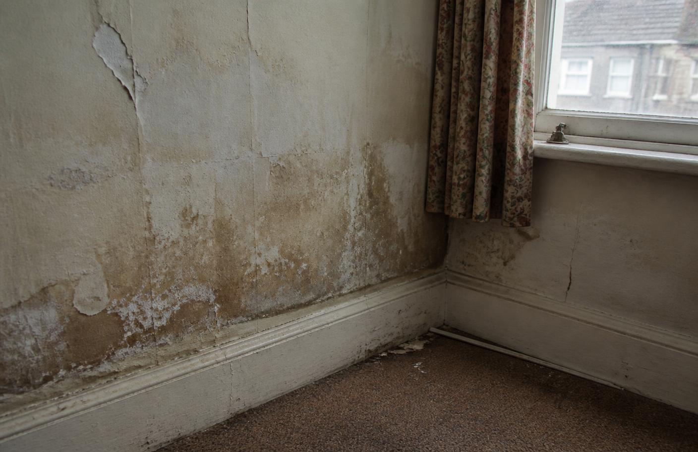 Wall before repair, cracked and damp stained